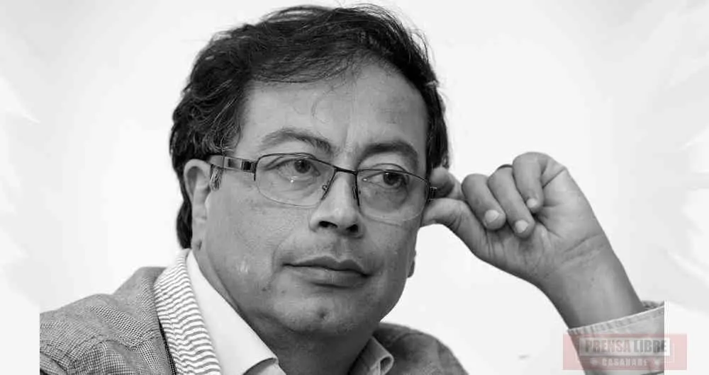 ¿El Gobierno Nacional comprará coca en Nariño?: La incógnita tras el anuncio presidencial en el Cauca