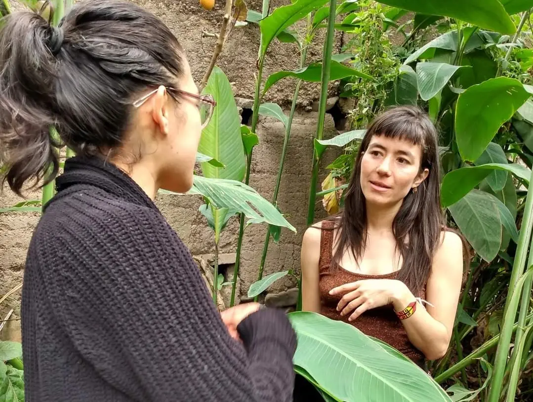 ‘Sala Mínima’ ofrece nueva agenda cultural que promueve la diversidad artística en Pasto