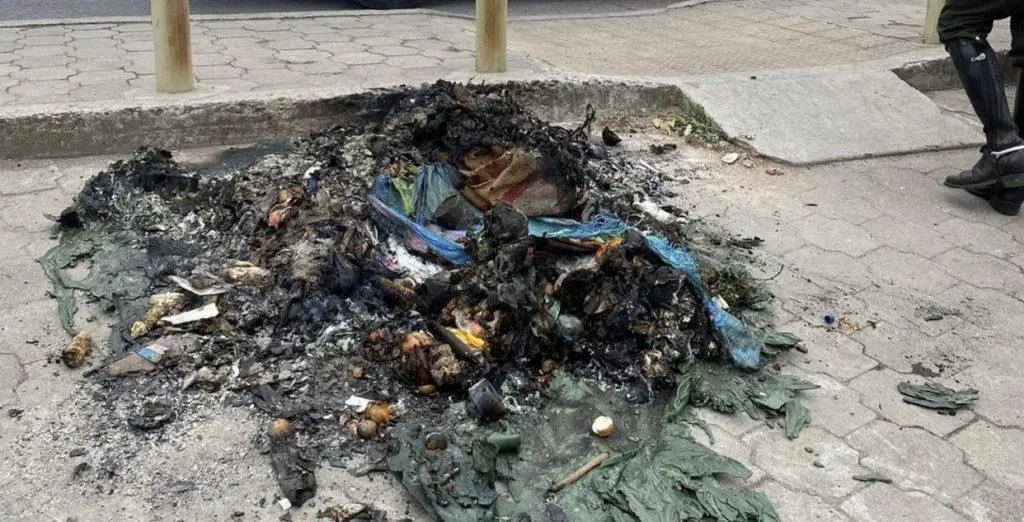Encuentran en Ipiales perrita muerta y quemada en contenedor de basura