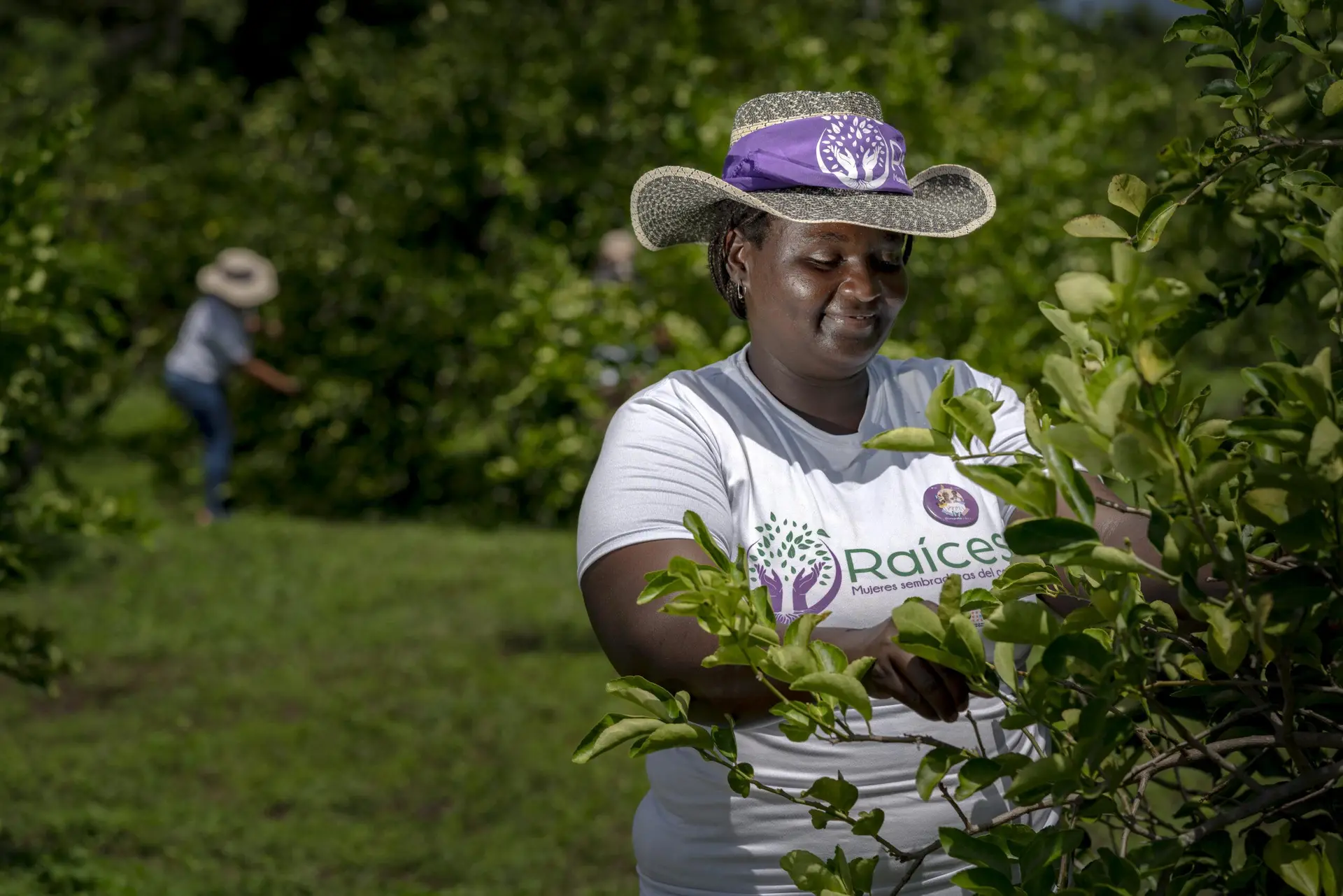 En el Día Internacional de las Mujeres Rurales, reconocemos su poder transformador, su liderazgo y aporte al desarrollo económico en Colombia