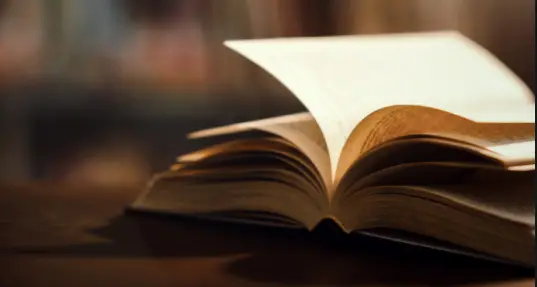 Origen, importancia y trascendencia del “día del idioma”