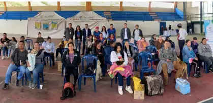 Unidad móvil de esterilizaciones de la Gobernación atendió a 300 animales en el municipio de El Tambo