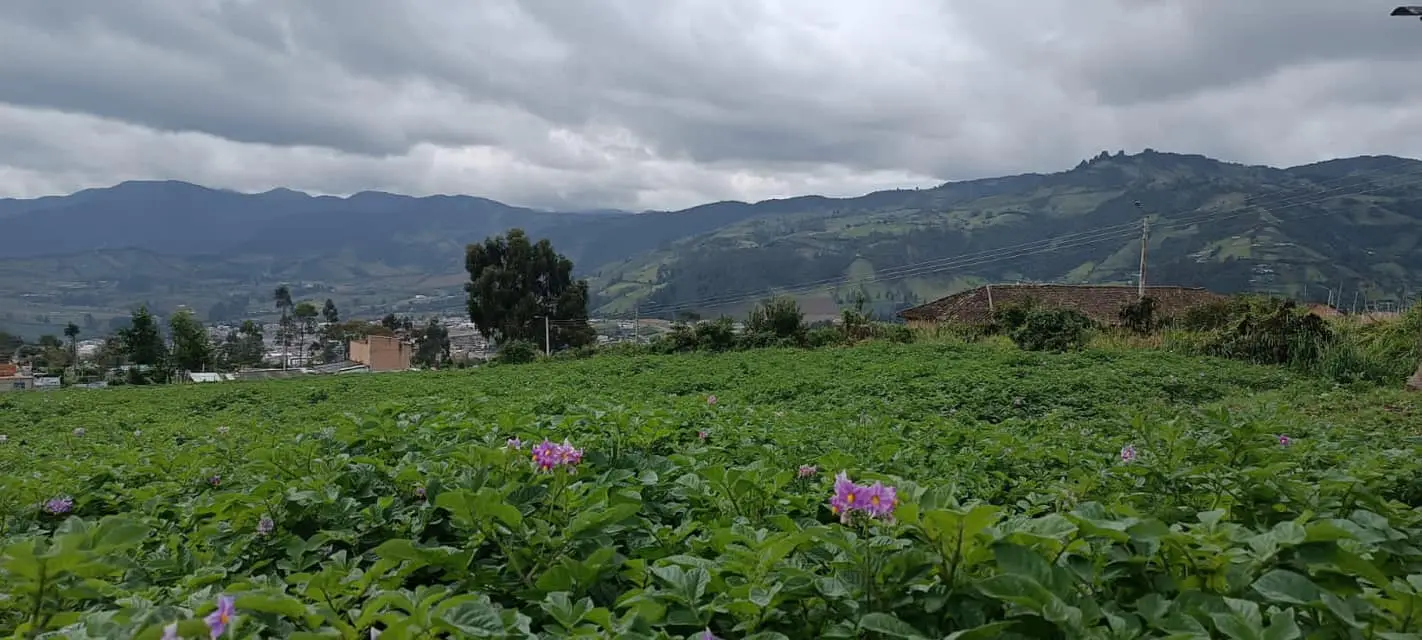 Entrega de kits de agropecuarios a productores de los municipios afectados por la temporada de lluvia 2021- 2022
