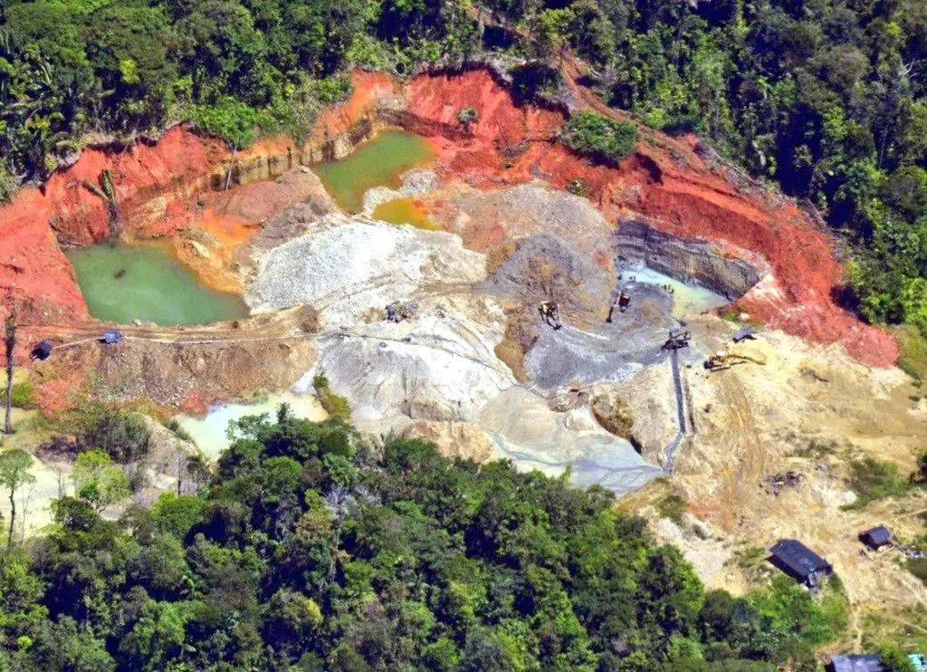 Recuperadas 100 hectáreas de bosque en Nariño
