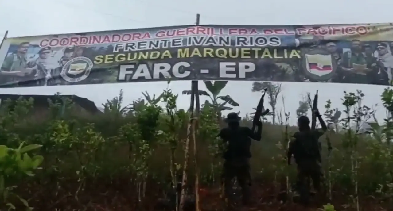 Presuntas disidencias de “Segunda marquetalia” queman bandera de ELN (vídeo)