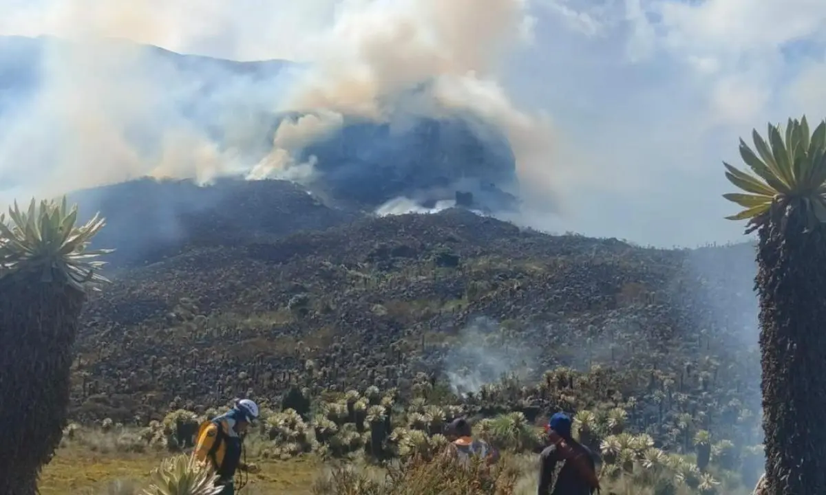Más de 15 hectáreas fueron arrasadas por incendios en Nariño