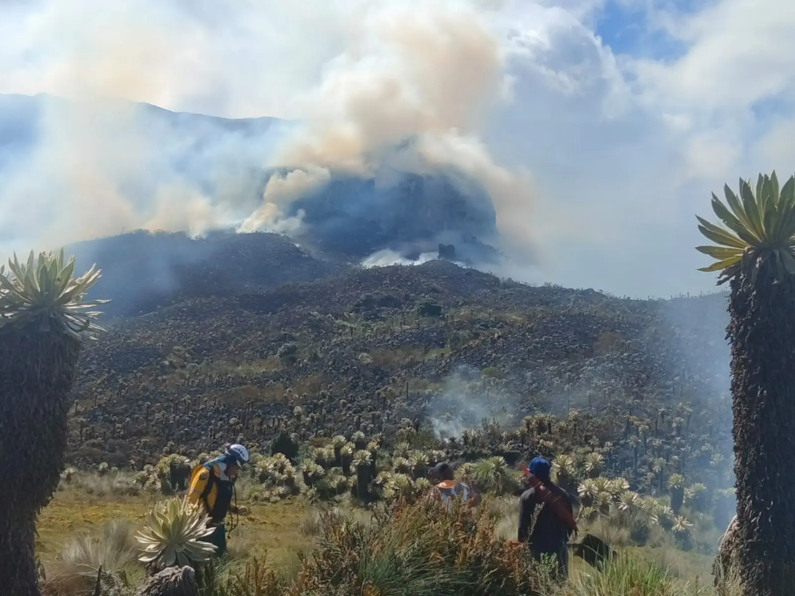 Incendios Forestales en Nariño De las causas climáticas a las causas humanas y de planificación