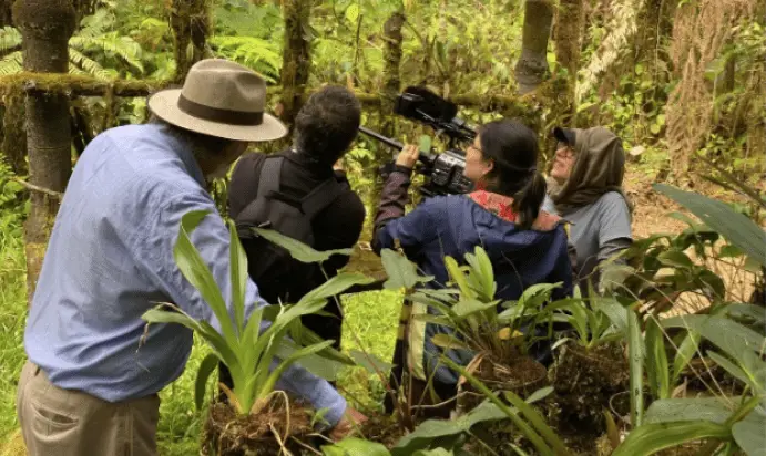 Orquídea: Nariño como epicentro de un viaje entre biodiversidad y resistencia