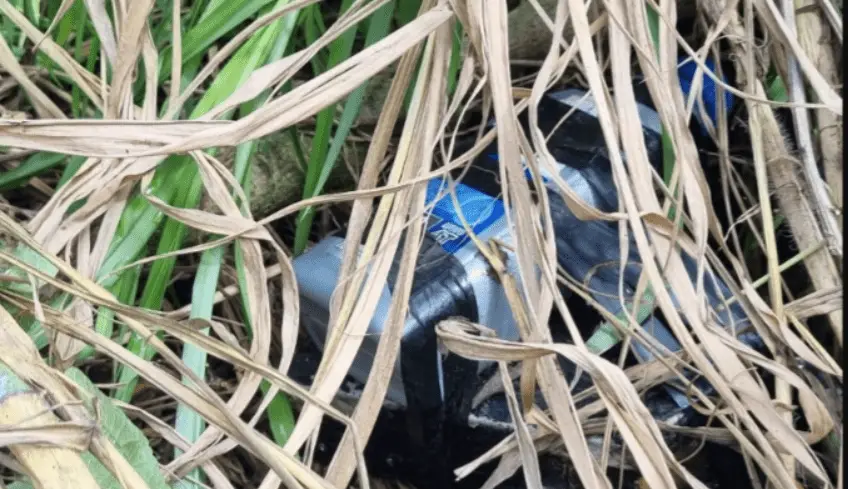 Ya son 40 artefactos explosivos destruidos en lo corrido del 2025 en Nariño
