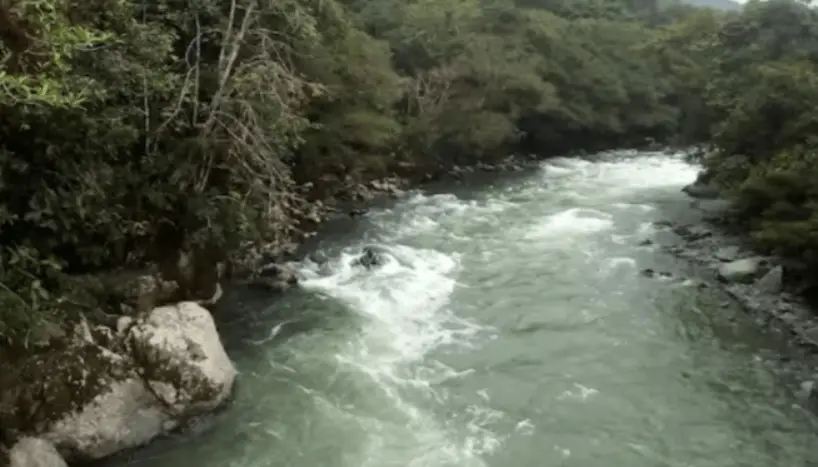 Los alfabetos del agua de la cultura Awá en Nariño