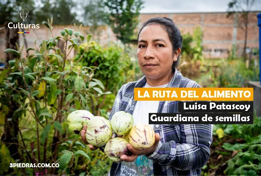 Luisa Patascoy – Guardiana de semillas del territorio de Catambuco