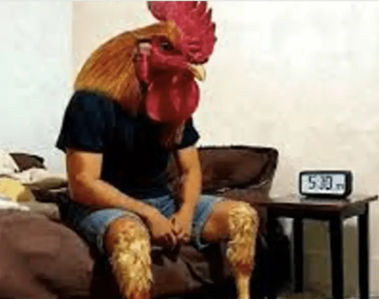 Ensayo “Soñar con animales”